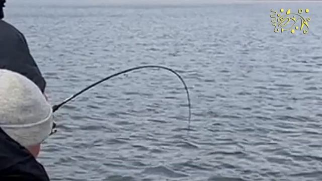 Камский монстр. KZN Fishing в гостях у Могуч Удмурт. смотреть онлайн