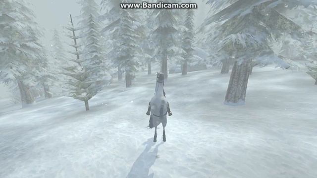 Winter Sun Music Video