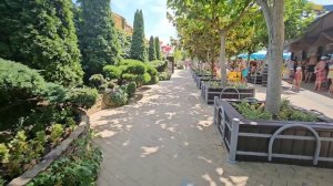 в нашей семье пополнение