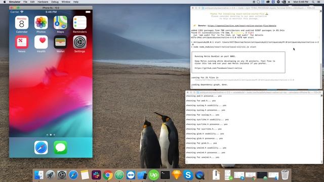 How to setup Antiqueruby React Native app in local environment. смотреть онлайн