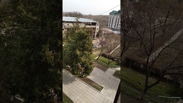 "САНАТОРИЙ АРМАН " Поллюкс смотреть онлайн