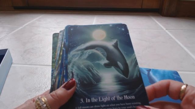 Traceyhd's Review Of The Whispers Of The Ocean Oracle смотреть онлайн