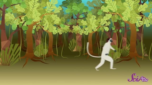 The Real Animals of Madagascar | Animal Science for Kids смотреть онлайн