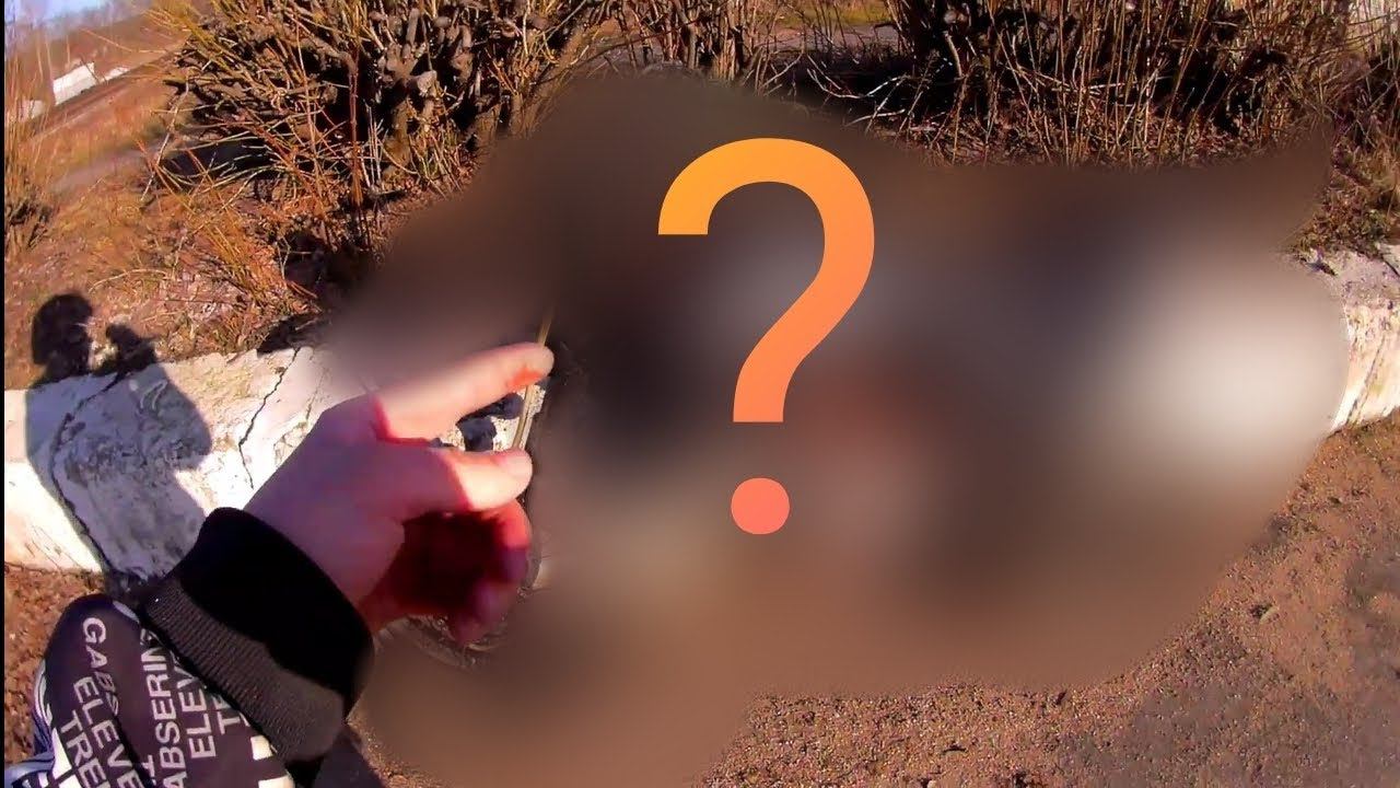 Купил новый мотоцикл покатушка #34 смотреть онлайн