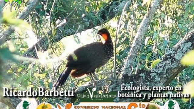 Ricardo Barbetti Parte 2 смотреть онлайн