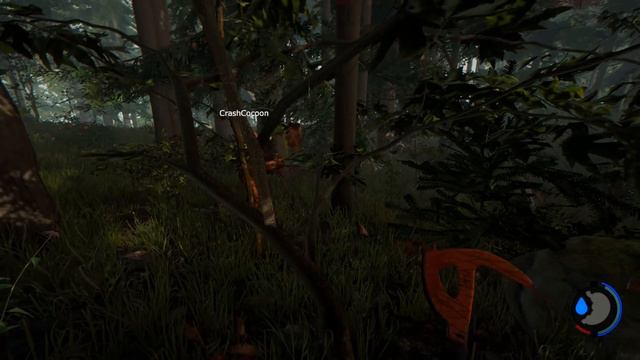 LAKE CABIN | Let's Play The Forest Part 1 | Plane Crash & Base Building | Coop Multiplayer Gameplay смотреть онлайн