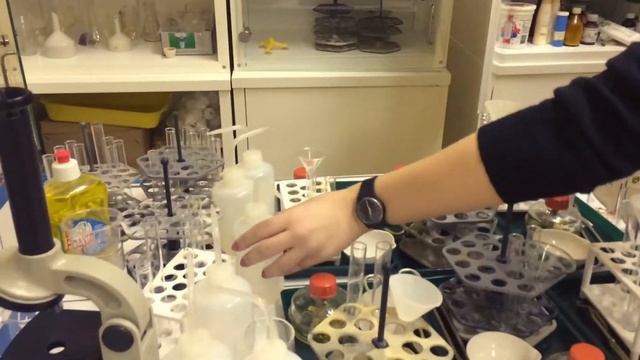 школа 17 смотреть онлайн