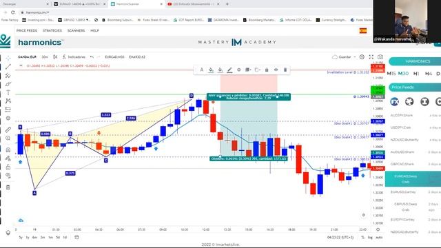 MOSTRANDO A USAR EL SCANNER Y AUDITANDO LOS RESULTADOS DE LA SEMANA смотреть онлайн
