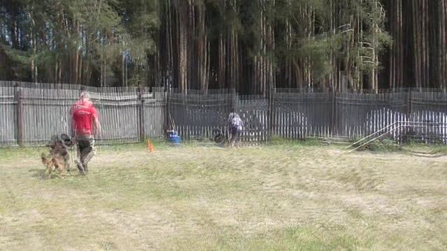 7.  выражено/пож TEFI V. MAIR HOF (Team Leiksaid Campino – Haydi V. Mair Hof)