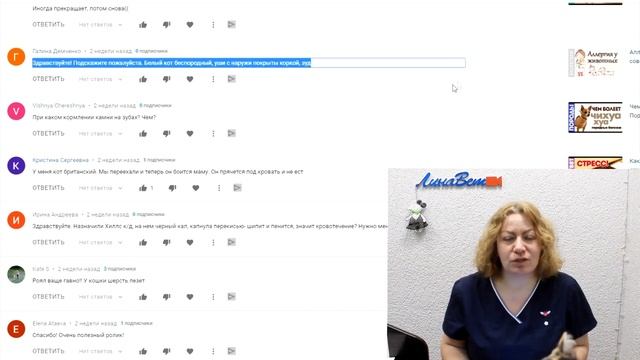 У Той-терьера залысины. Кот кушает и не толстеет. ВетОтвет. смотреть онлайн