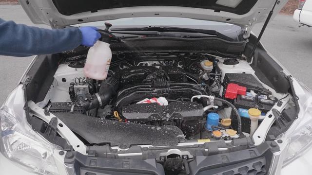 Clean & Detail Your Car Engine In 5 Minutes!
