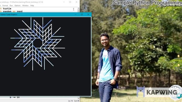 Complete Python || Turtle Graphics || Overview! [From Beginner simple project] смотреть онлайн