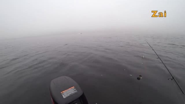 ЛОВИМ ЩУКУ в ТУМАН. Мой ЛЮБИМЫЙ воблер работает. смотреть онлайн