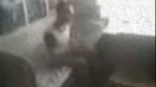 V-талька - Hostel, Inc. (preview Trailer)