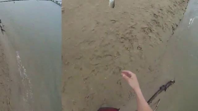 Ловля жереха весной в Астрахани смотреть онлайн