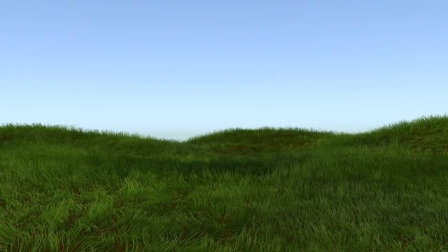 Grassy Field | Заросшее поле | Blender 3D | Cycles | Full HD смотреть онлайн