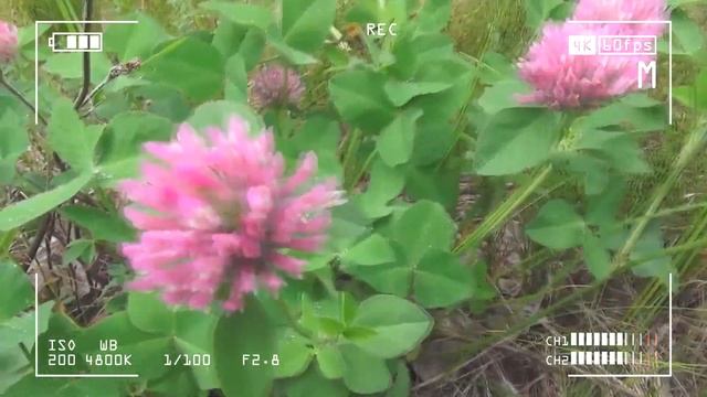 Создание эффекта камеры и HUD слоев д/з смотреть онлайн