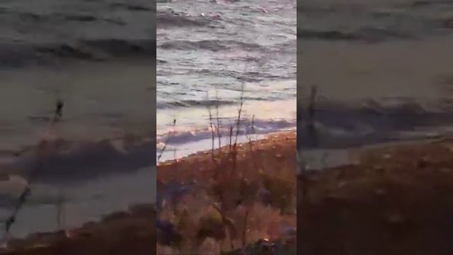 Охотское море пос.Пригородное, о.Сахалин. смотреть онлайн