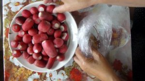 Как сохранить редиску на несколько месяцев в холодильнике(не в морозилке), в отличном состоянии