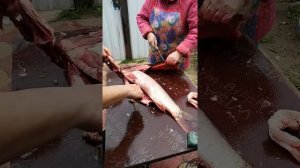 Как быстро разделать сазана