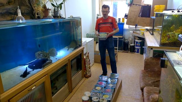 Nimphea part1 смотреть онлайн