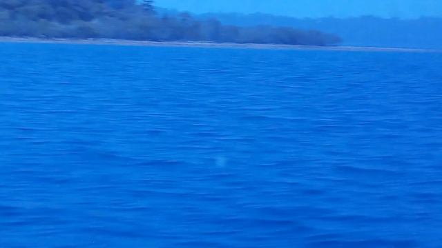 Way to Havelock Island from port blair by cruise ...fantastic sea video смотреть онлайн