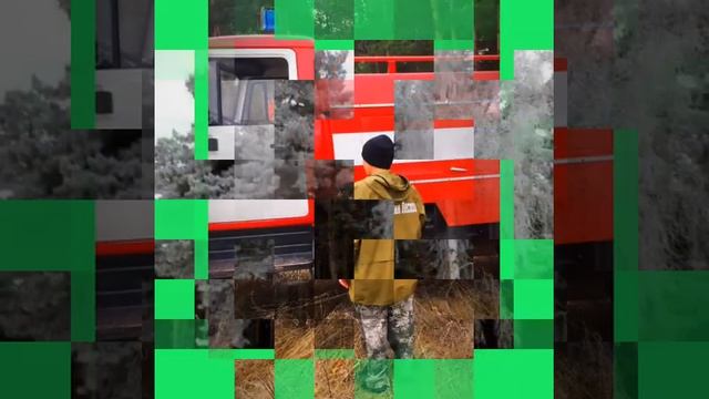 С праздником лесного хозяйства!!! смотреть онлайн