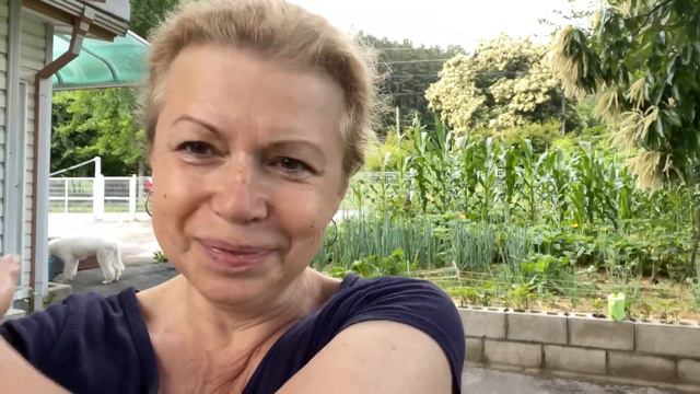 Южная Корея 🏠 21-23 июня/Зацвела кукуруза/Смотрели дом/ Ну чем не Климт?/Рядом началась стройка смотреть онлайн