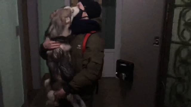 Байкал встречает хозяина после долгой разлуки☺️ смотреть онлайн