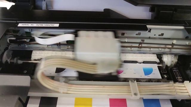 Тестовая печать на Epson L210 от 17 октября 2022 г. смотреть онлайн