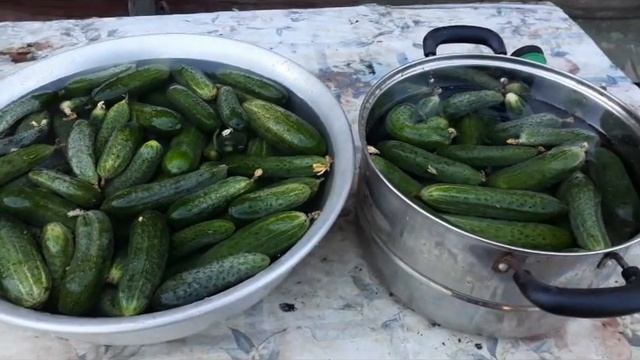 МОЙ УРОЖАЙ //ПОХОД В ПОЛЕ С С ПИТОМЦАМИ. смотреть онлайн