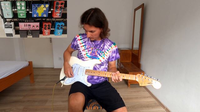 Watermelon Sugar loop pedal cover by Elia смотреть онлайн