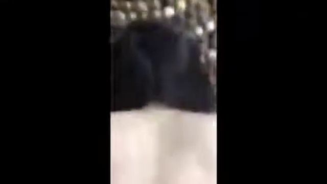 Су*ка получила то что хотела смотреть онлайн