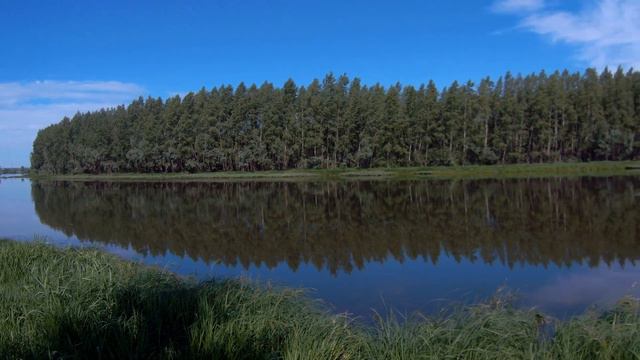где-то на берегу белой4 смотреть онлайн
