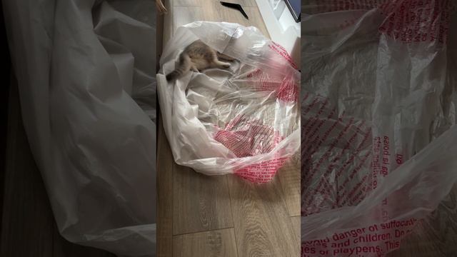 Зачем игрушки, если есть пакет😂 ? смотреть онлайн