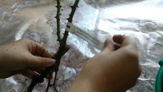 Учим Делать с Уверенностью