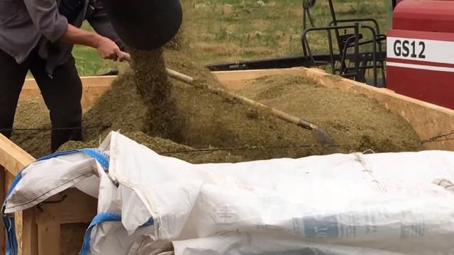 Уборка овсяницы луговой смотреть онлайн