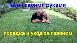 Газон своими руками