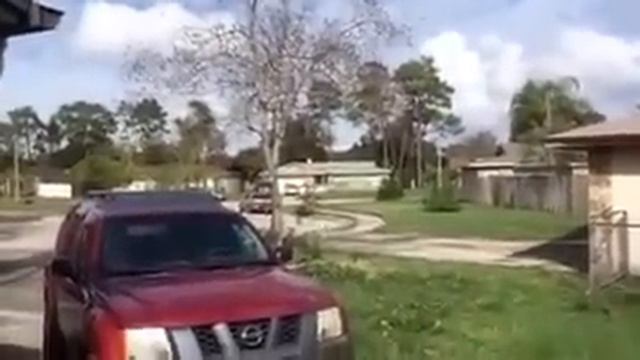 С Новым Годом с Новым СЧАСТЬЕМ!!!  FloridaYalta Periscope 31.12.2015