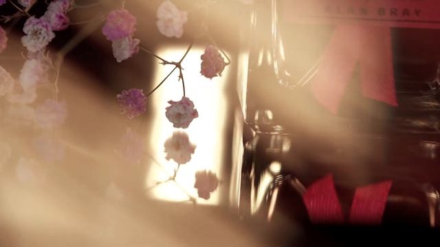 ALAN BRAY Высший Свет L`Imperatrice смотреть онлайн