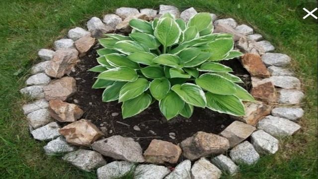 Камни в дизайне клумбы: оформляем участок в природном стиле | original ideas for the garden смотреть онлайн