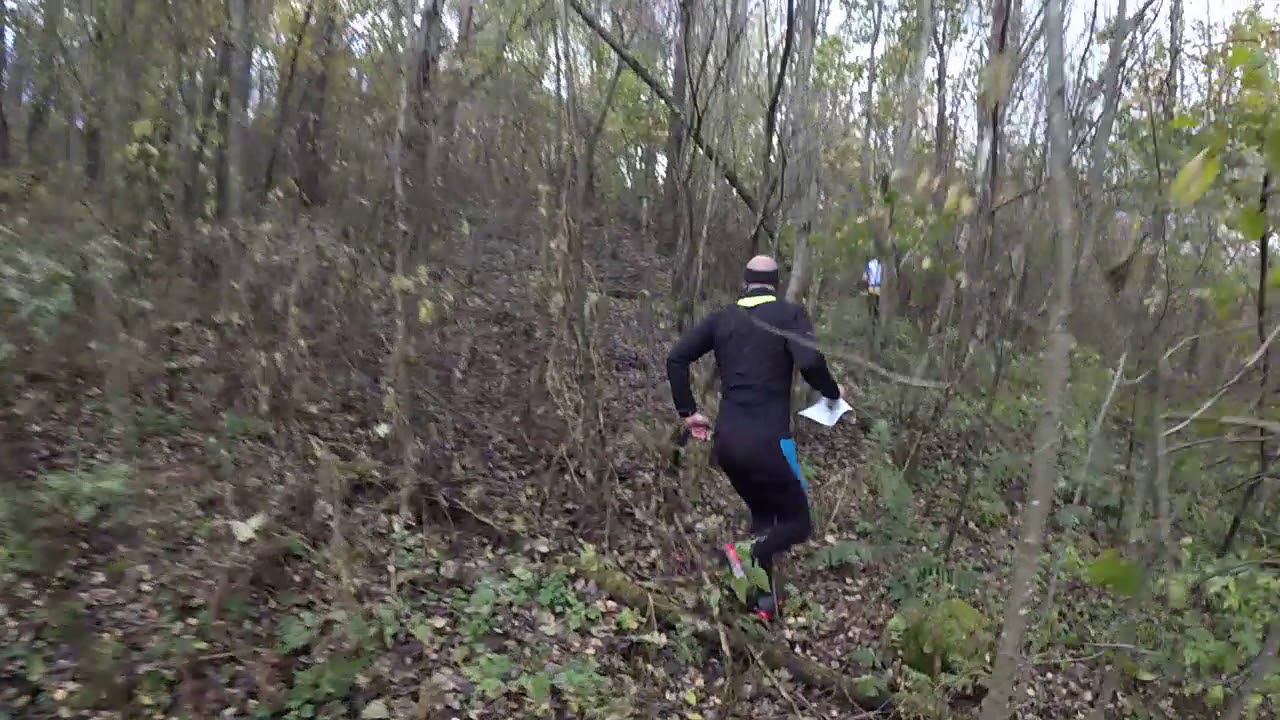 Ориентирование Красный Лист 2017 Смоленск лонг М35 общий старт смотреть онлайн