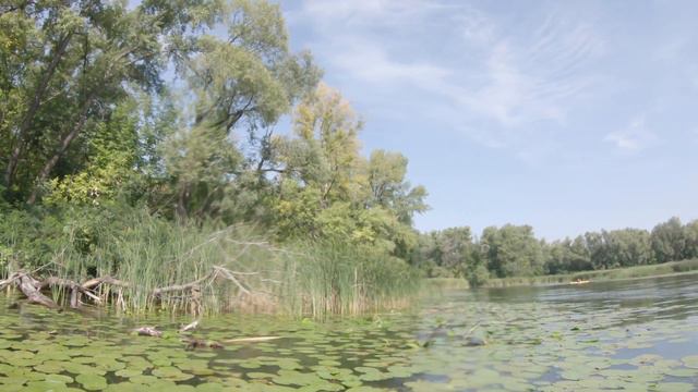 плывем по Днепру смотреть онлайн