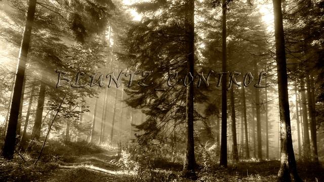 claudemorgan - BLUNTZ_CONTROL смотреть онлайн