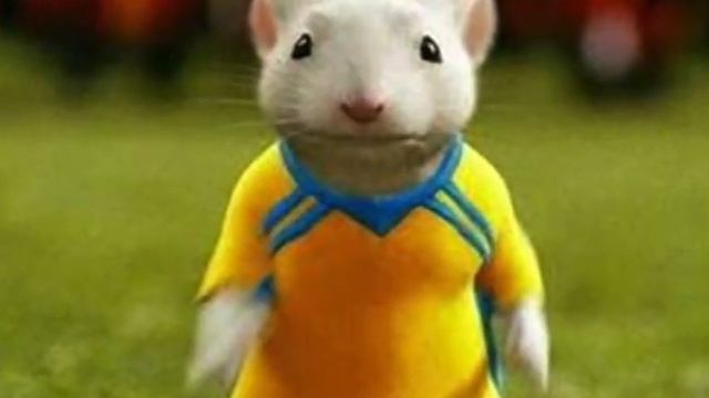 stuart little [amv] смотреть онлайн