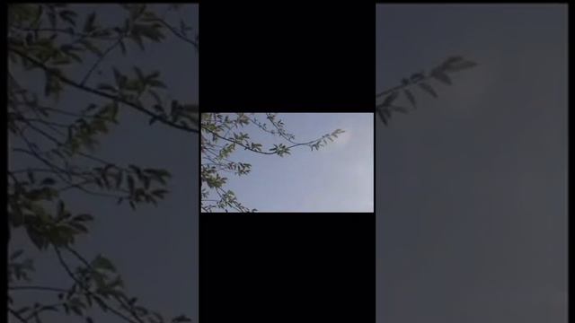 Авторская песня на укулеле смотреть онлайн
