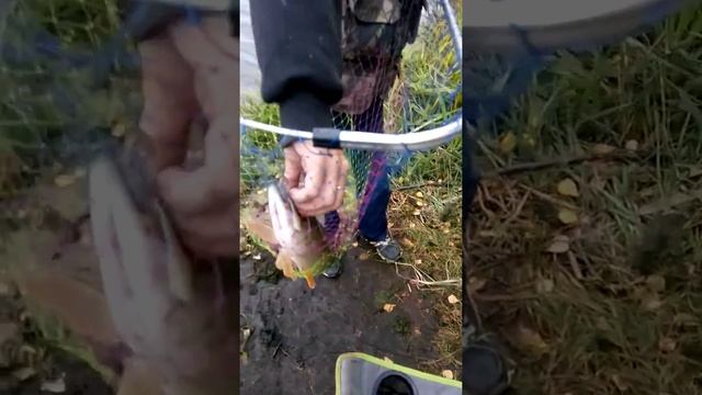 Щука Луховицы осень 2014 голубые озера смотреть онлайн