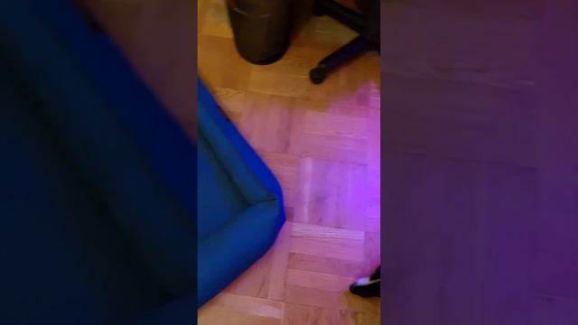 Учу Нику не уходить с места. Почему собака должна думать, что её коврик - это мой коврик? 14.10.202 смотреть онлайн