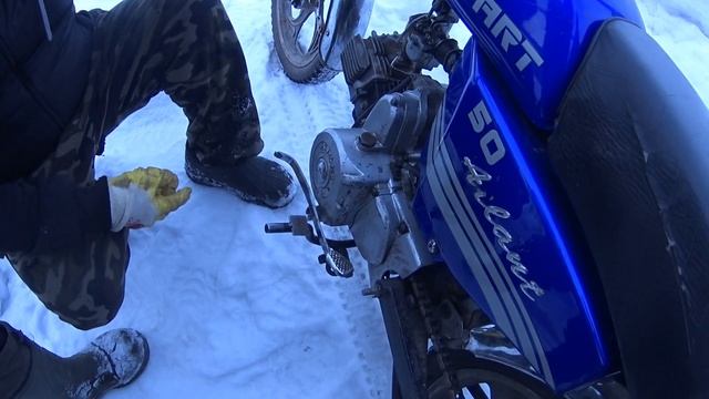 Как я Покупал АЛЬФУ за 2,5 к Донор для СТЭЛЛЫ смотреть онлайн