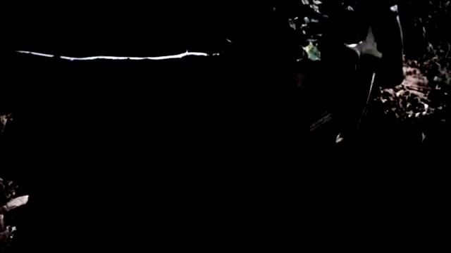 На златом крыльце сидели смотреть онлайн